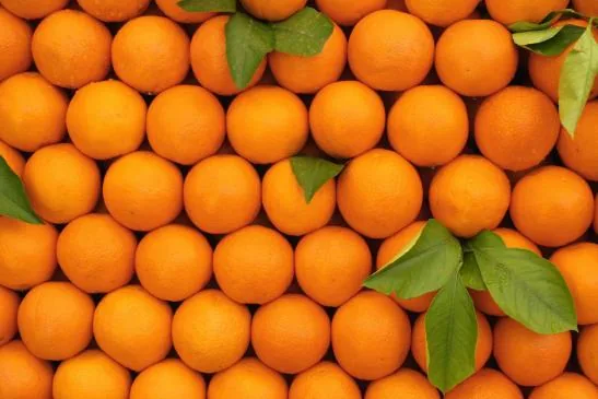 Fresh Egyptian oranges